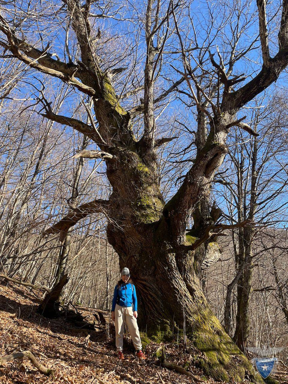 WhatsApp Image 2026-01-11 at 17.15.18